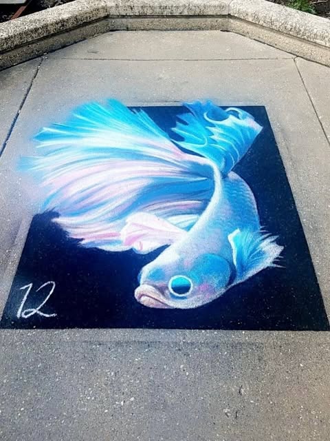 Blue and white goldfish drawn in chalk against a dark ground