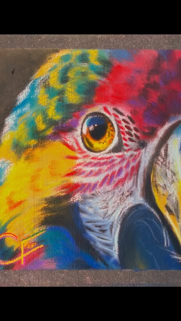 Close view of a colorful parrot rendered in chalk