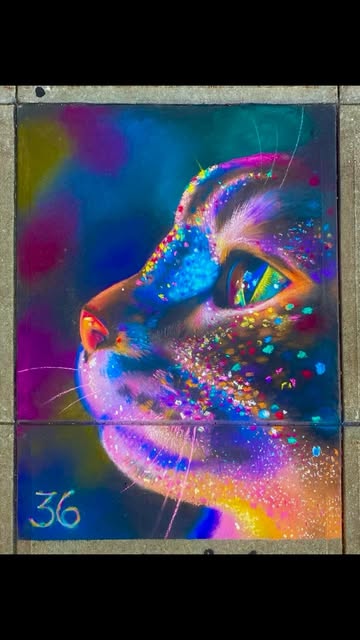 Rainbow-colored chalk cat portrait on pavement